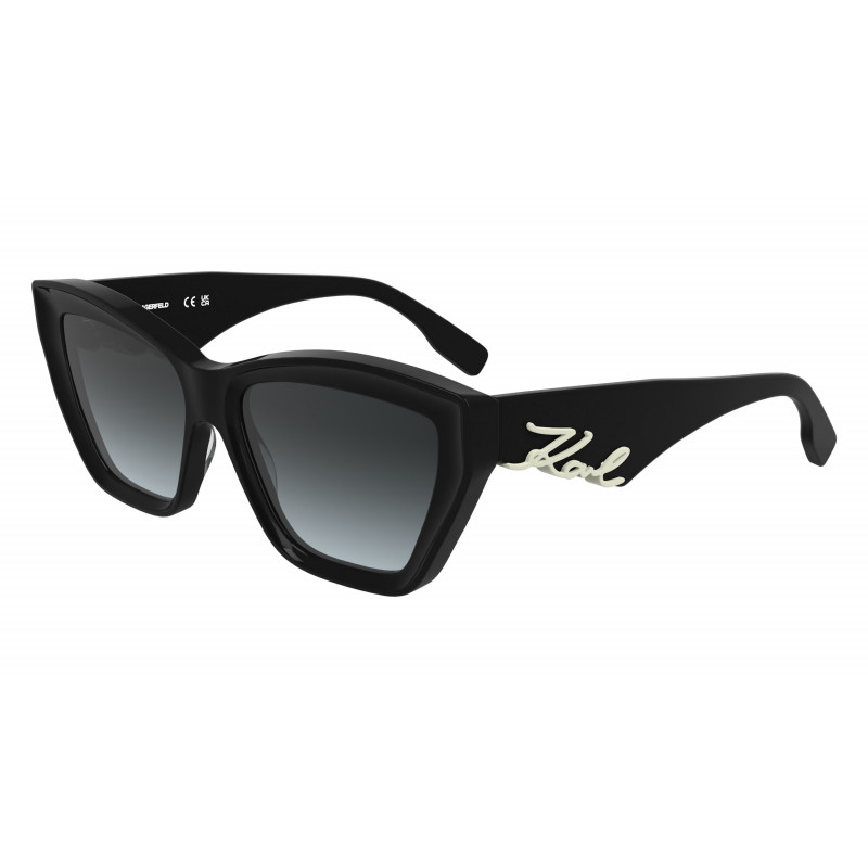 Sunglasses KARL LAGERFELD KL 6179 S 001 Black Sunglasses KARL LAGERFELD KL 6179 S 001 Black