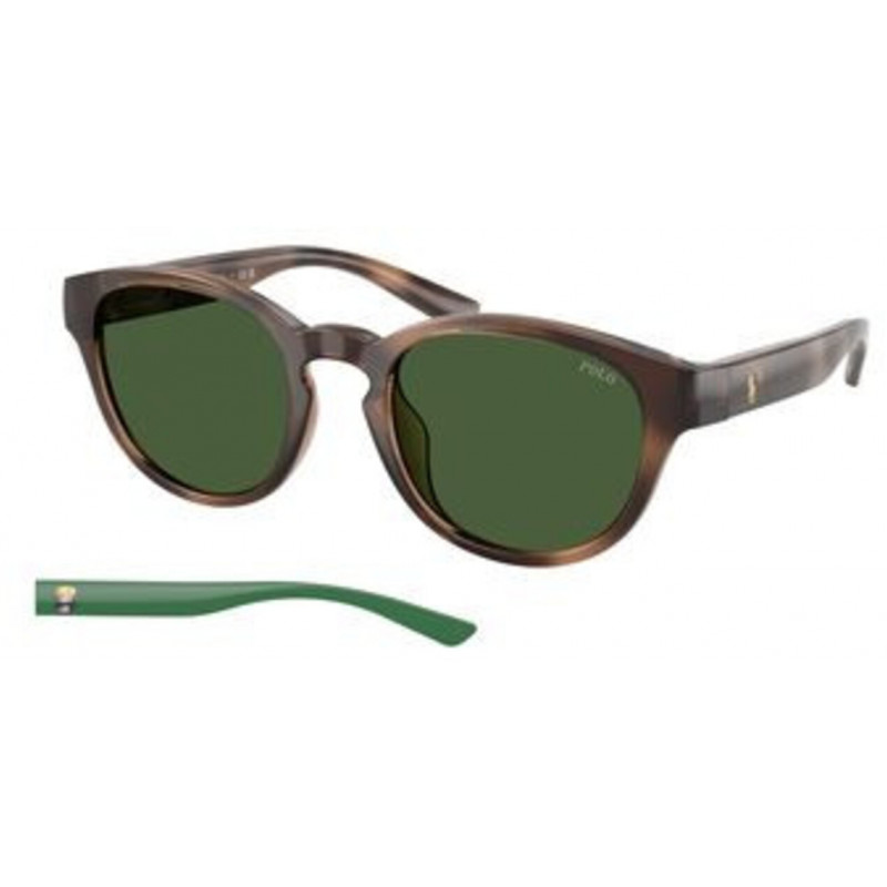 Sunglasses Polo PH 4233 U 607071 Shiny Dark Havana / Bottle Green Polyamide Standard 51mm