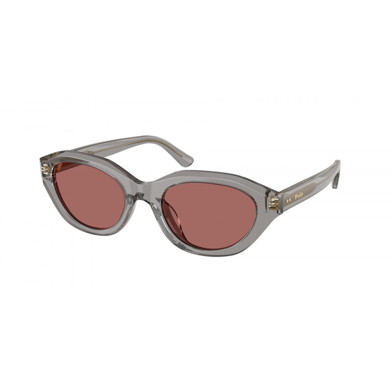 Sunglasses Polo PH 4237 U 631869 Shiny Transparent Grey / Dark Violet Polyamide Standard 52mm