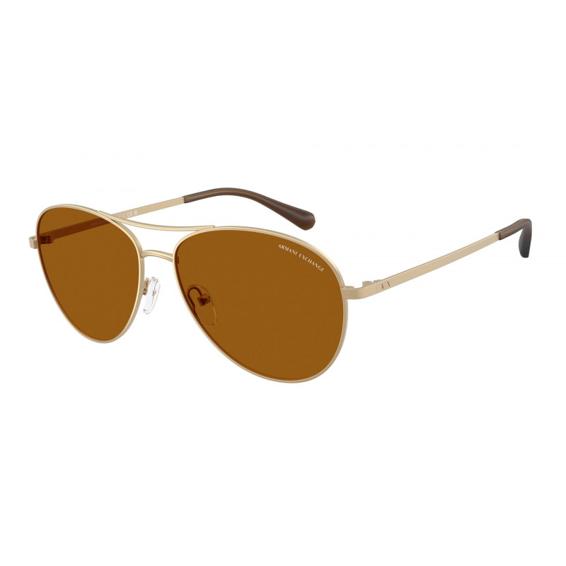 Sunglasses Armani Exchange AX 2061 S 612163 Matte Pale Gold / Dark Bronze Policarbonate Standard 59mm