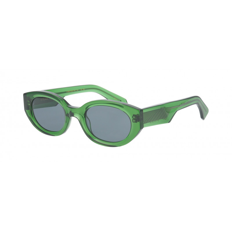 Sunglasses Pro-design Denmark STEAM 9525 Green Medium Transparent 50mm